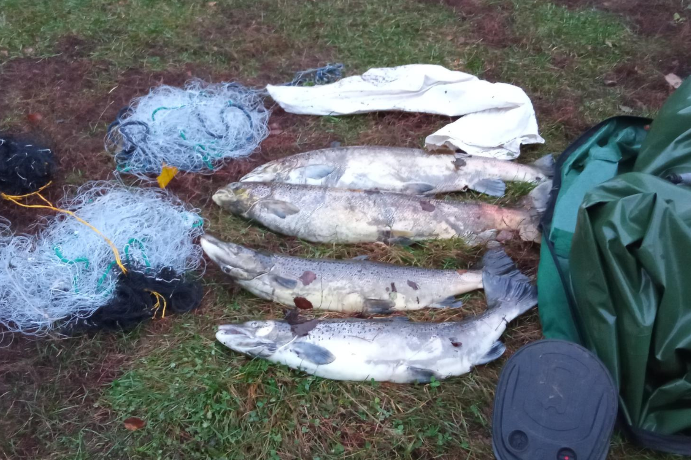 Iš pažeidėjų paimtos žuvys, tinklai ir valtis