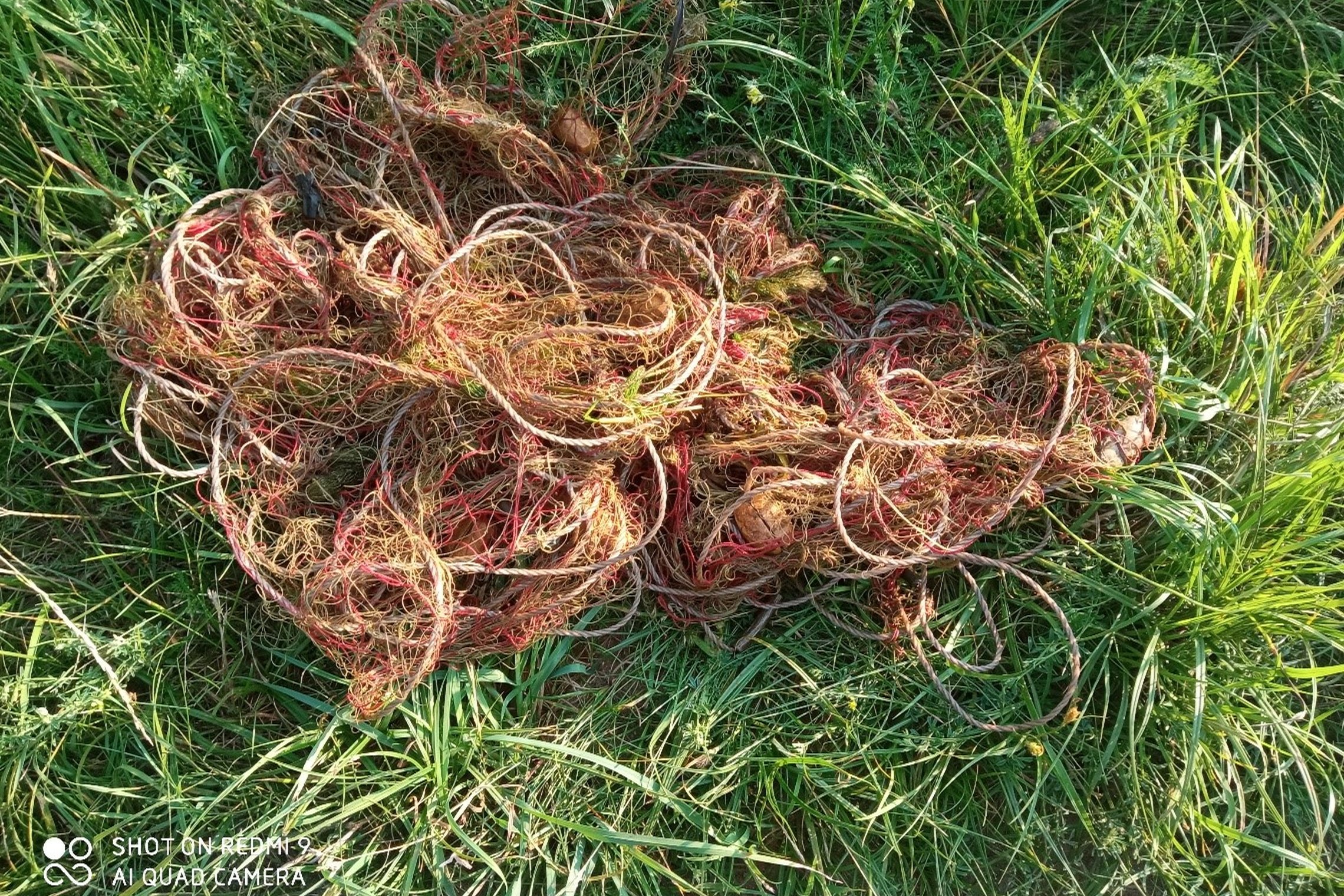 Iliustracija