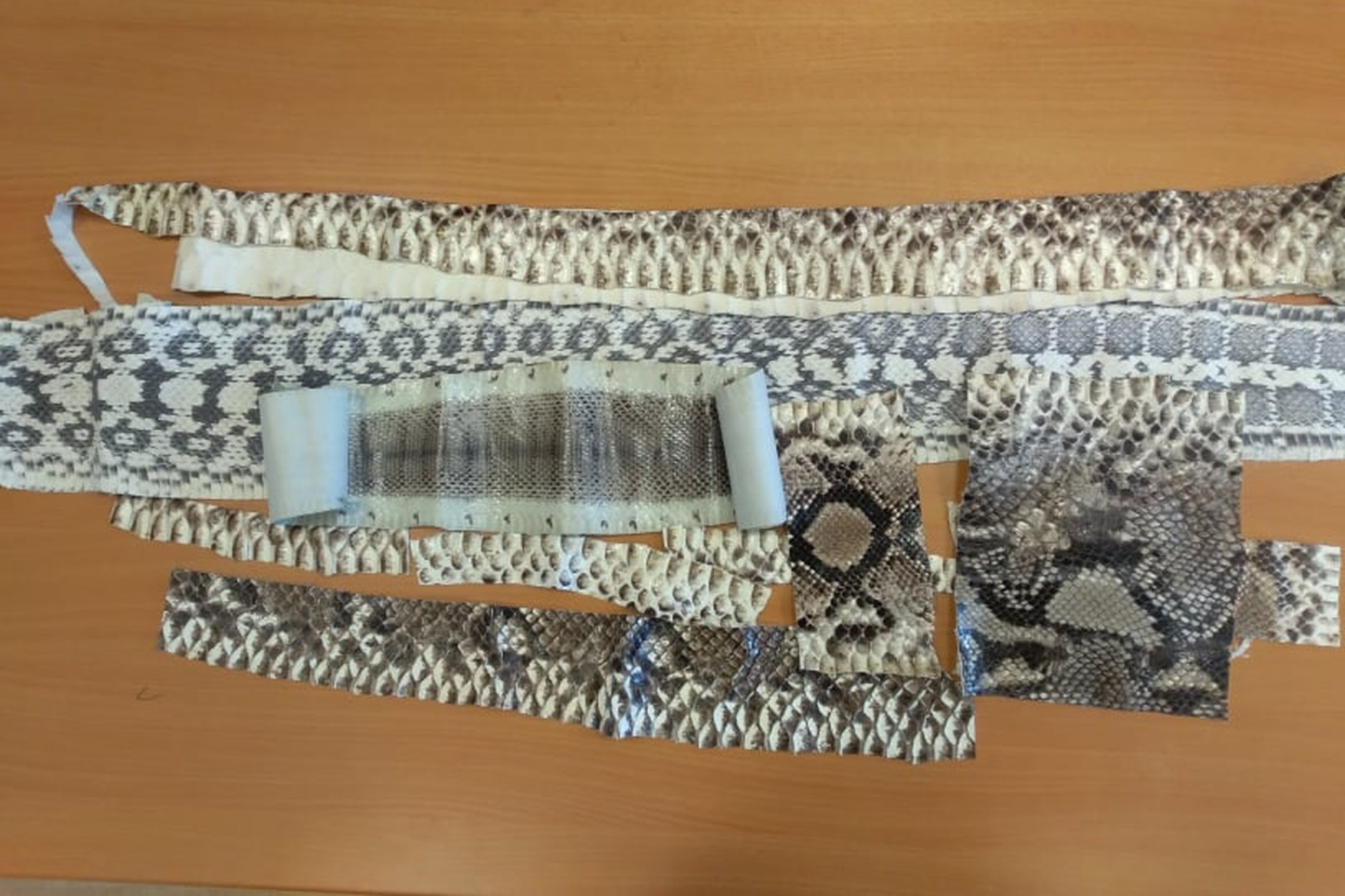 Iliustracija