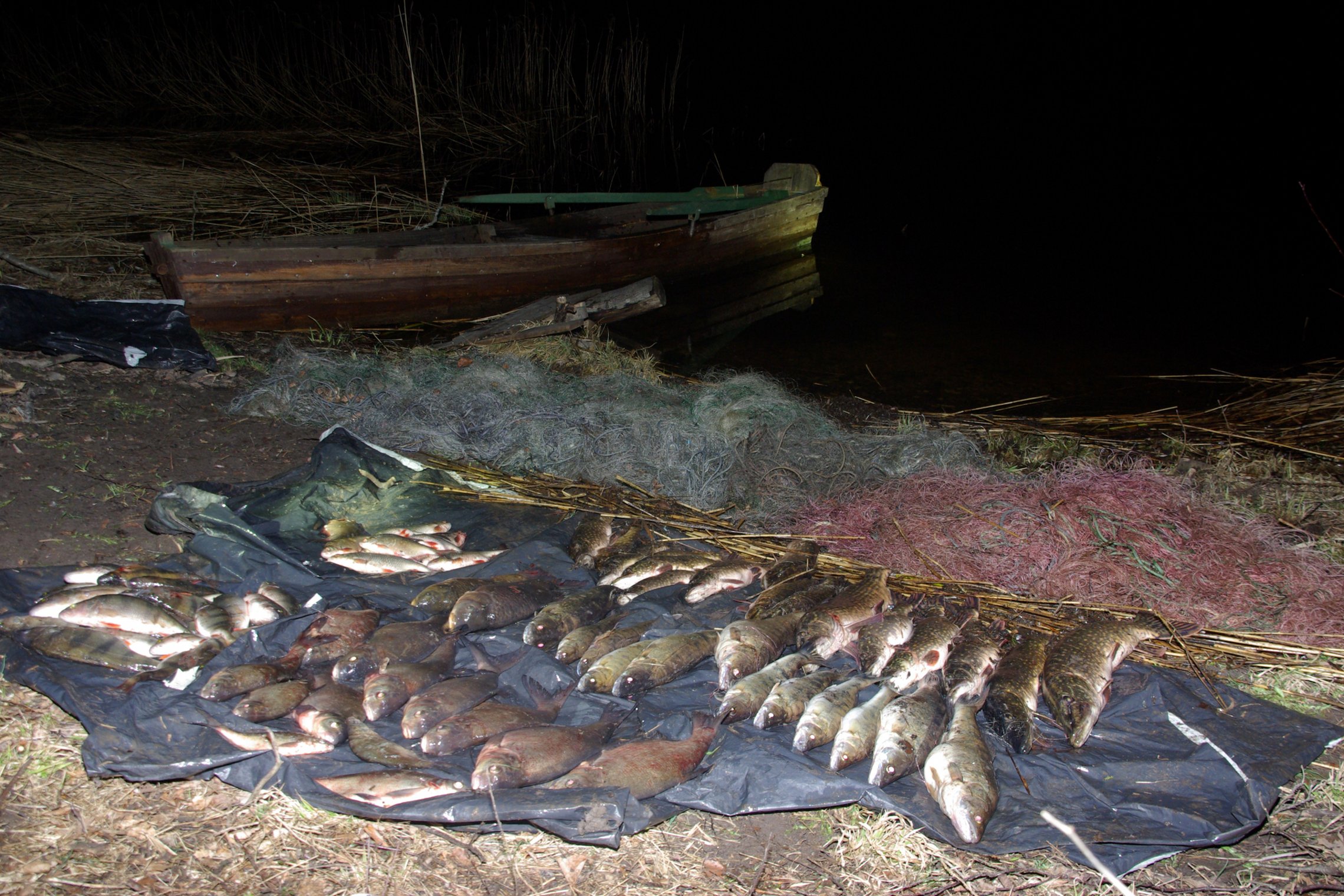 Iliustracija