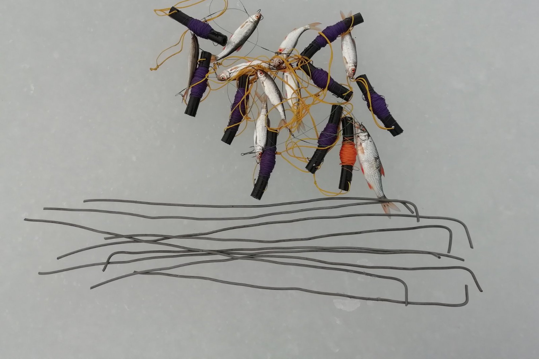 Iliustracija