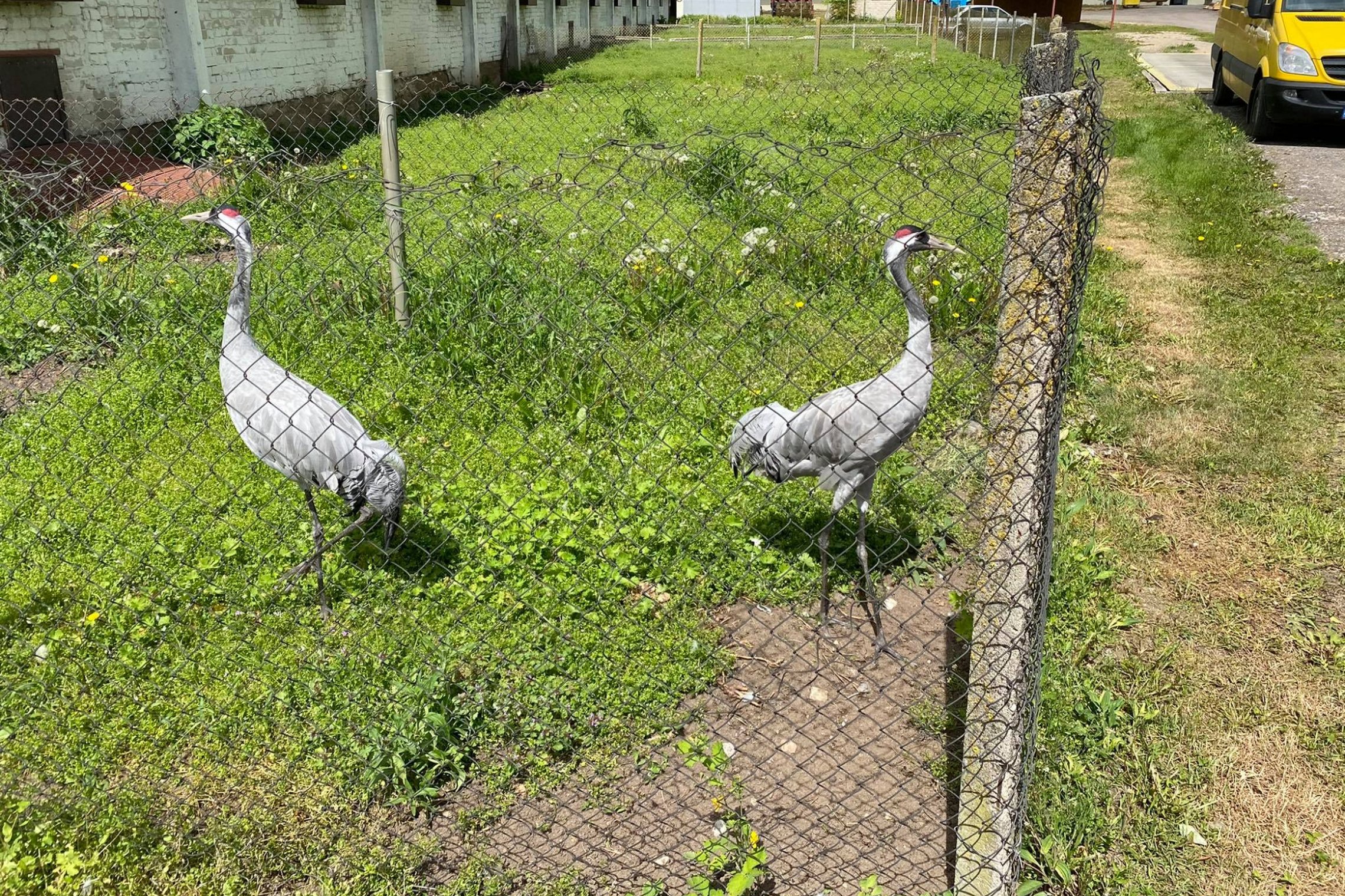 Iliustracija