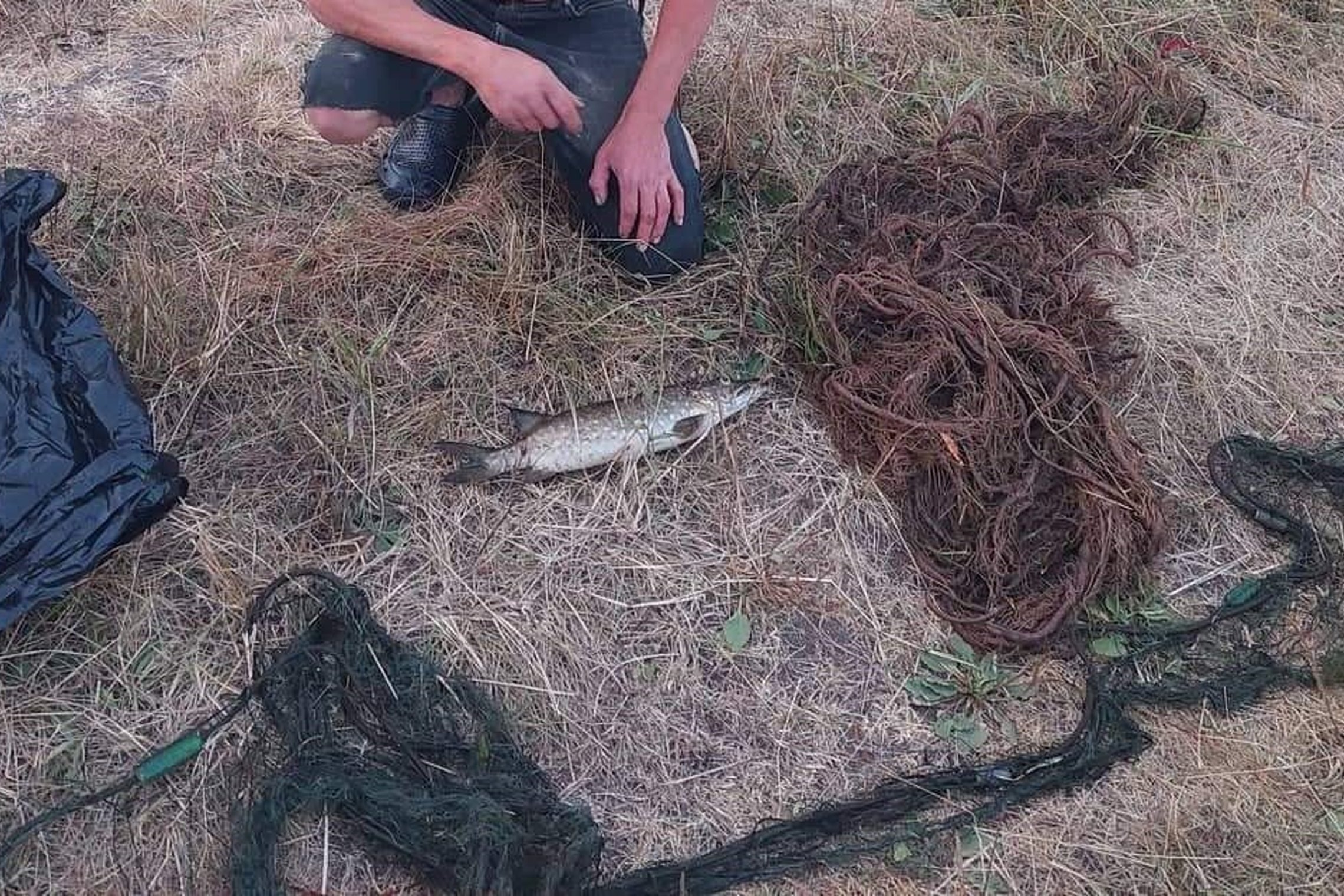 Iliustracija