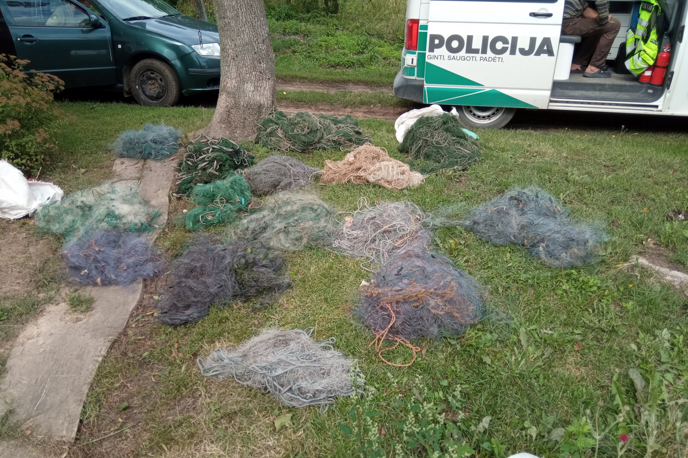 Iliustracija