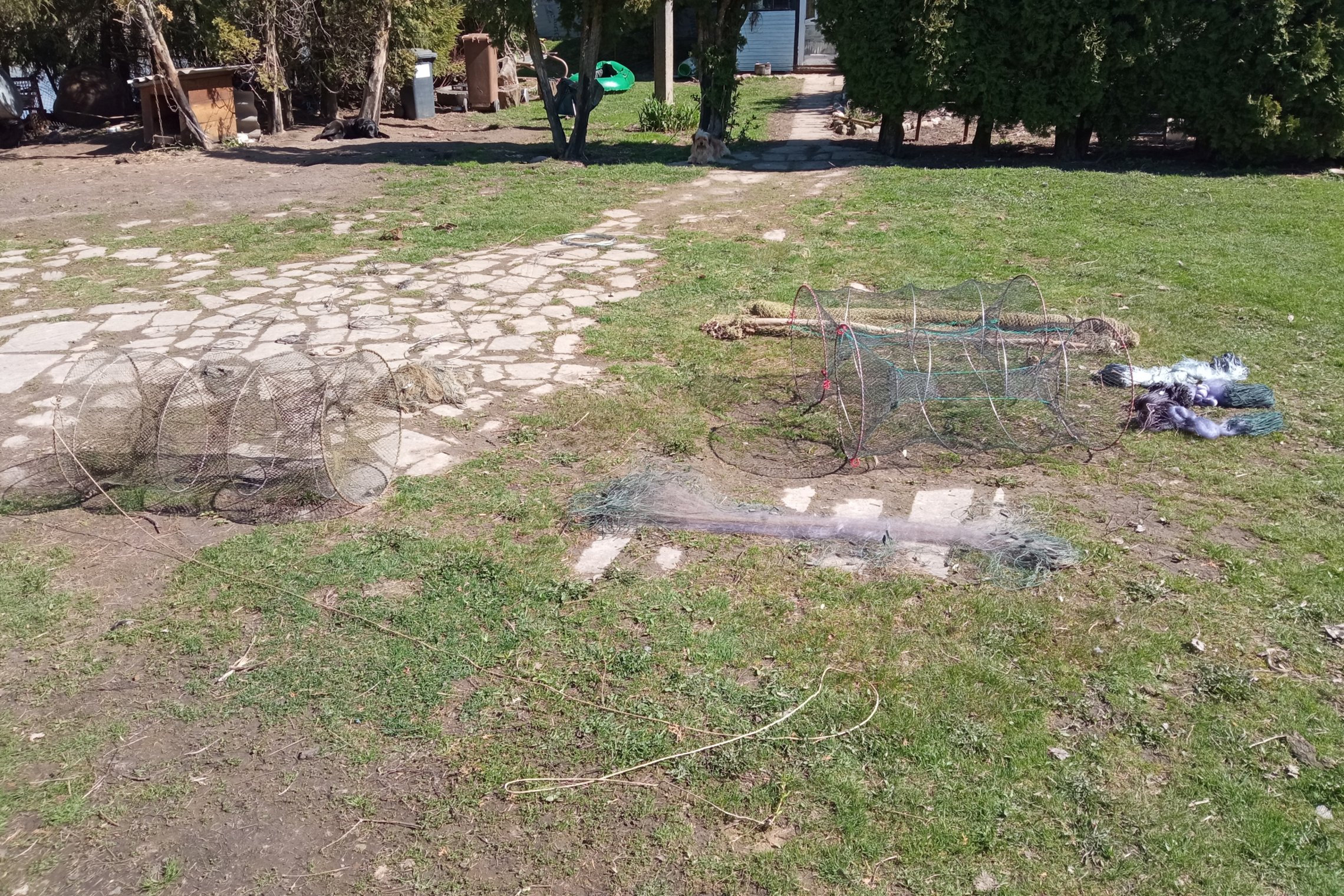 Iliustracija