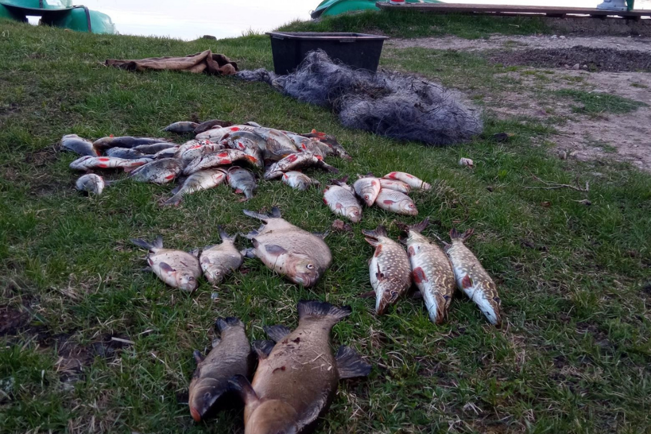 Iliustracija