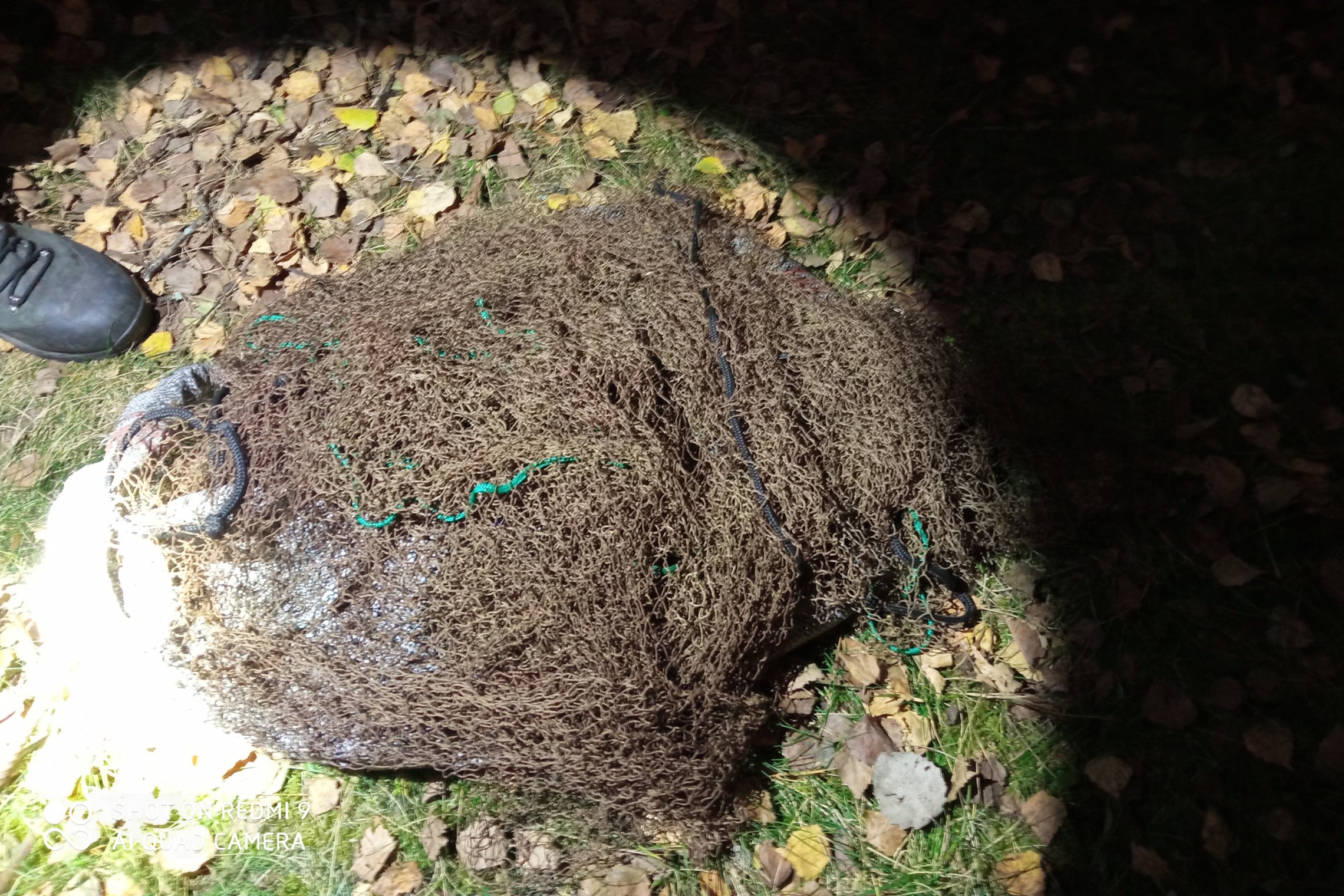 Iliustracija