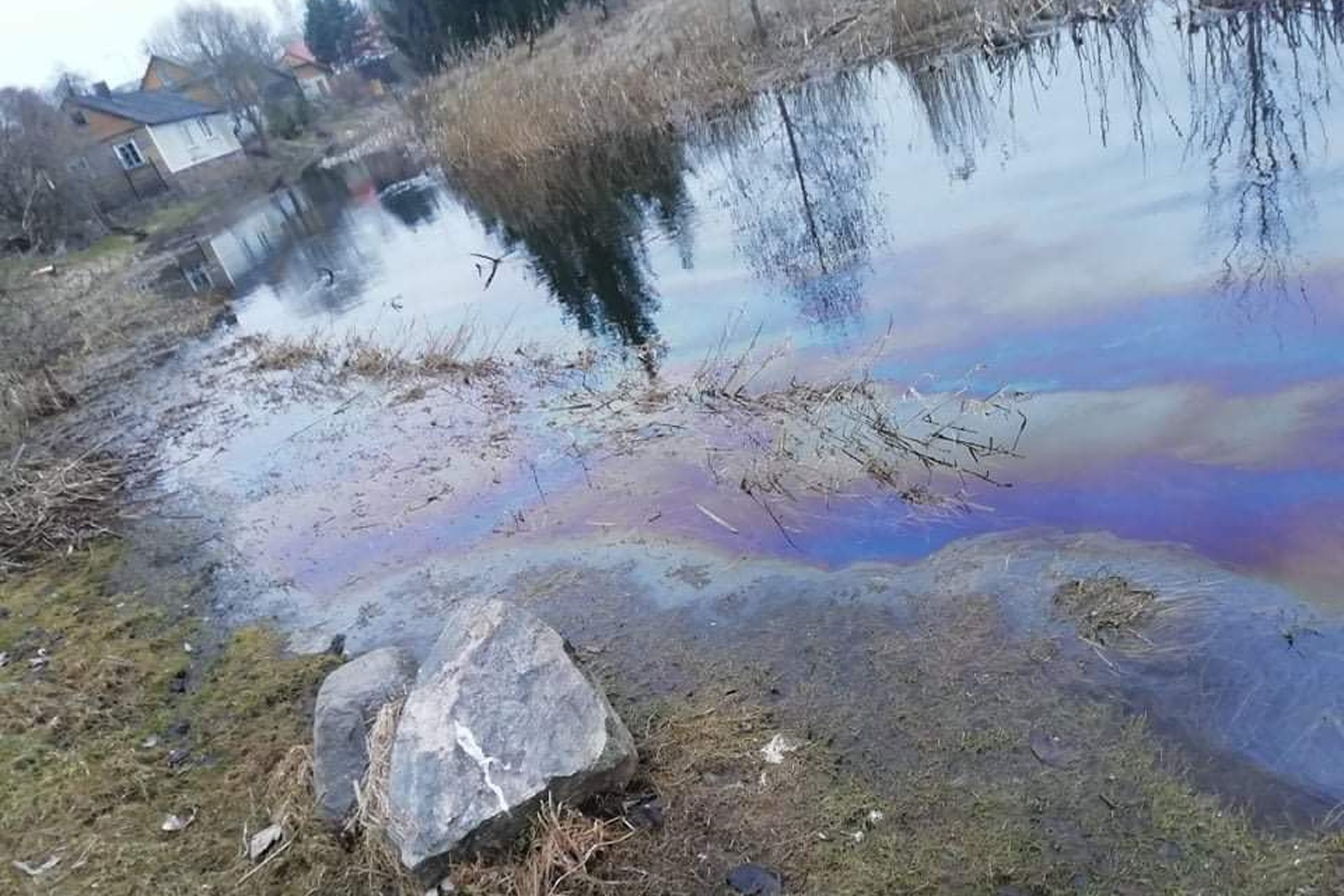 Iliustracija
