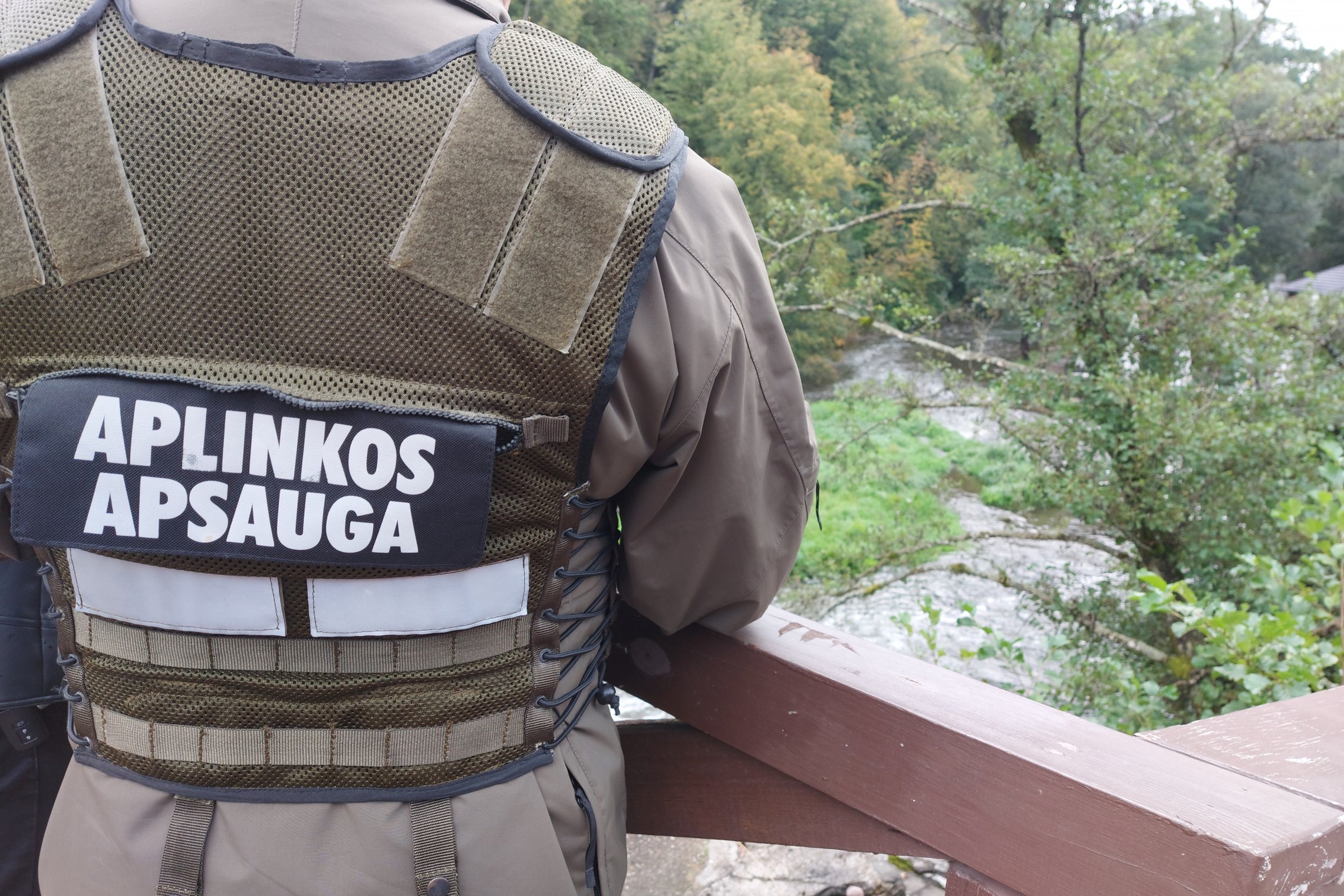 Iliustracija