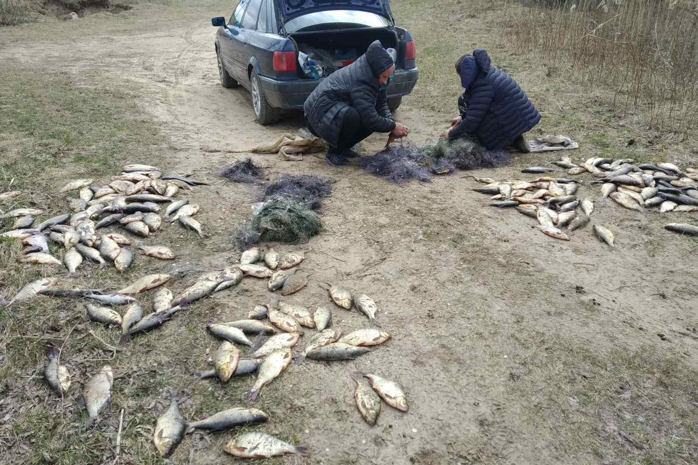 Iliustracija