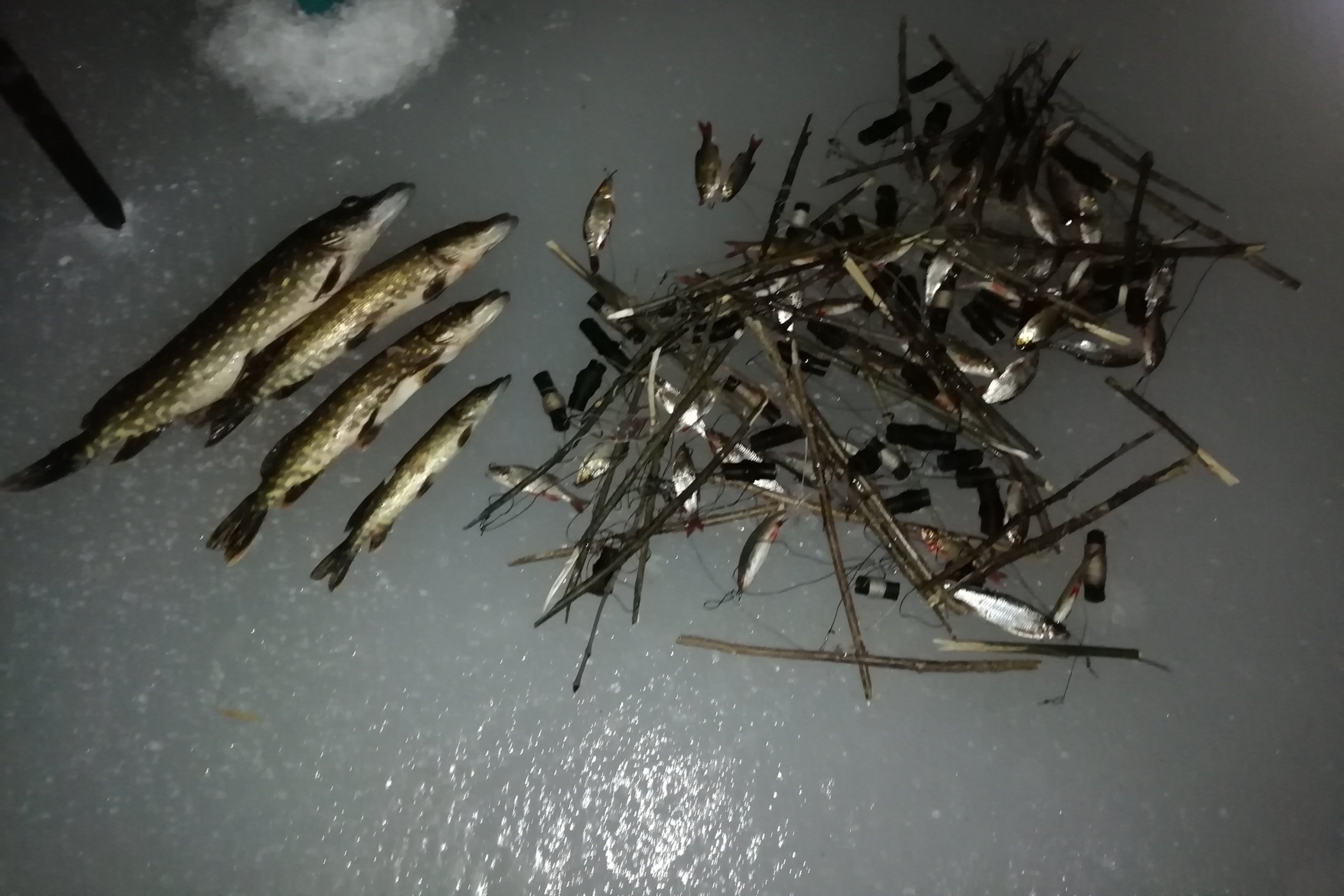Iliustracija