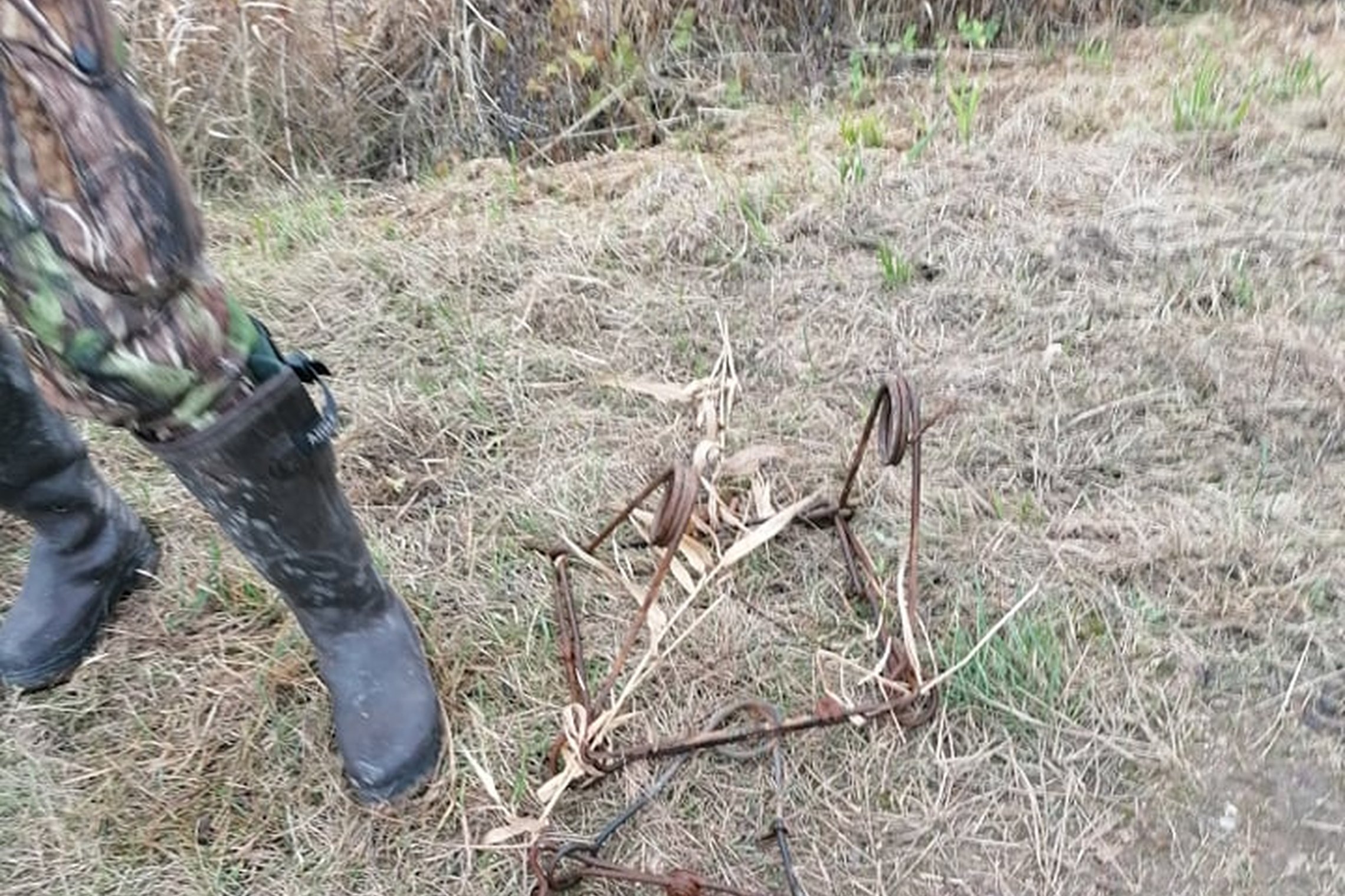 Iliustracija