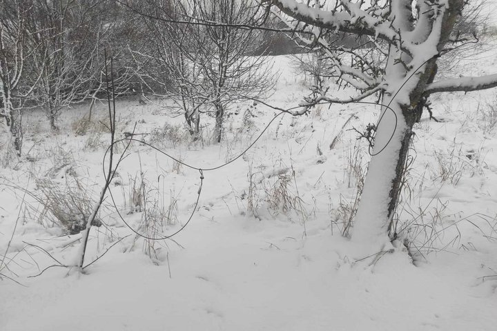 Kilpa laukiniams gyvūnams gaudyti