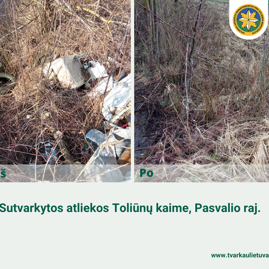 Iliustracija