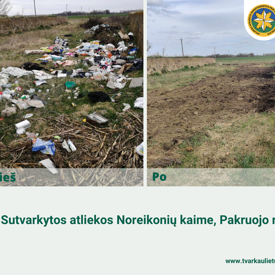 Iliustracija
