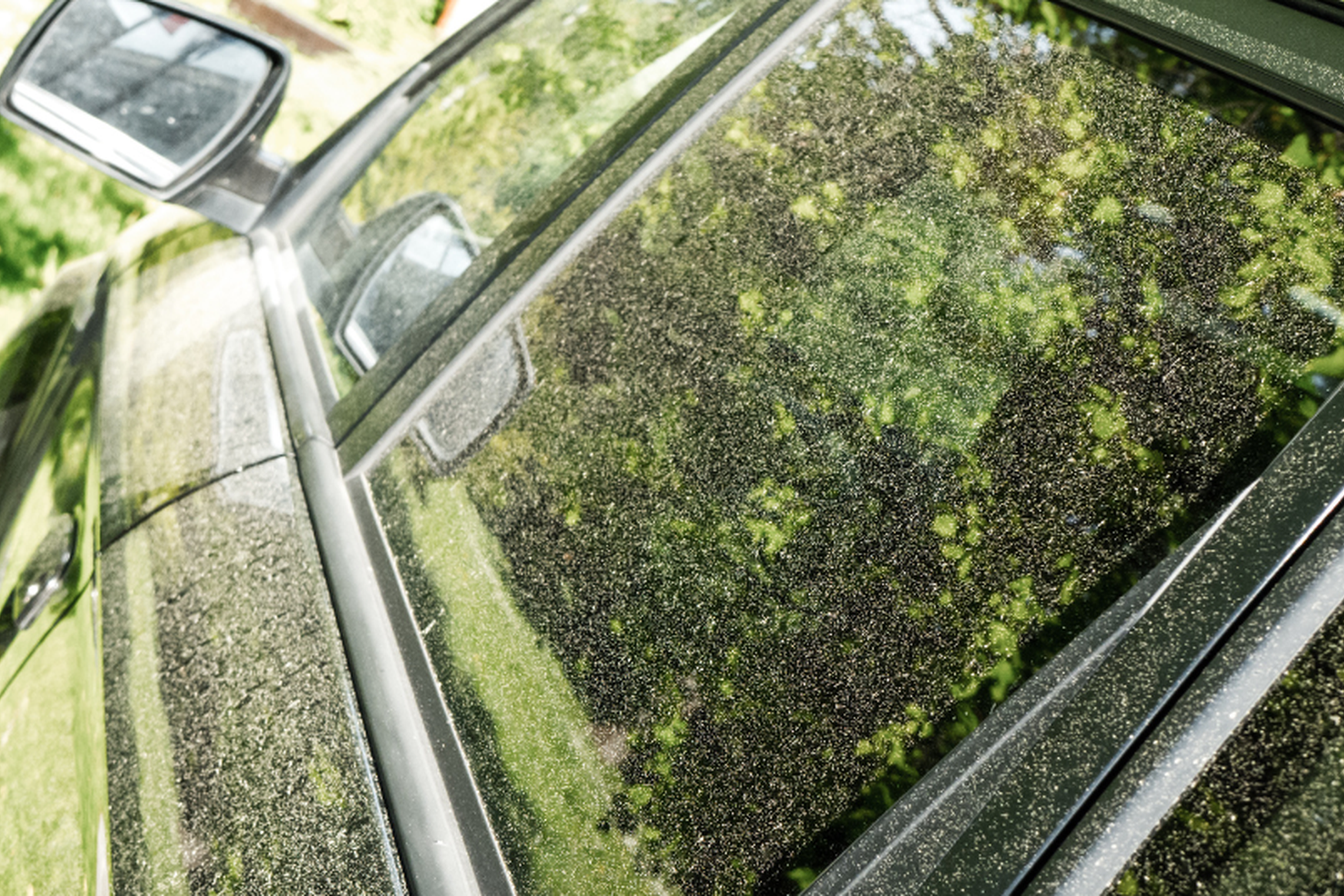 Žiedadulkės ant automobilio (asociatyvi nuotrauka)