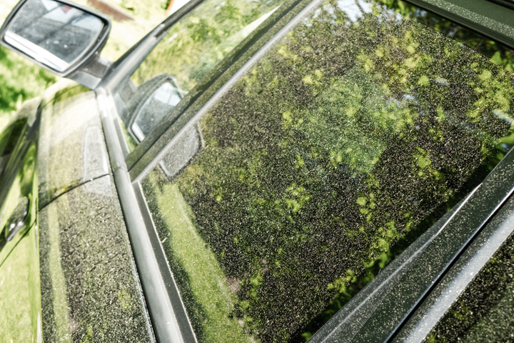 Žiedadulkės ant automobilio (asociatyvi nuotrauka)