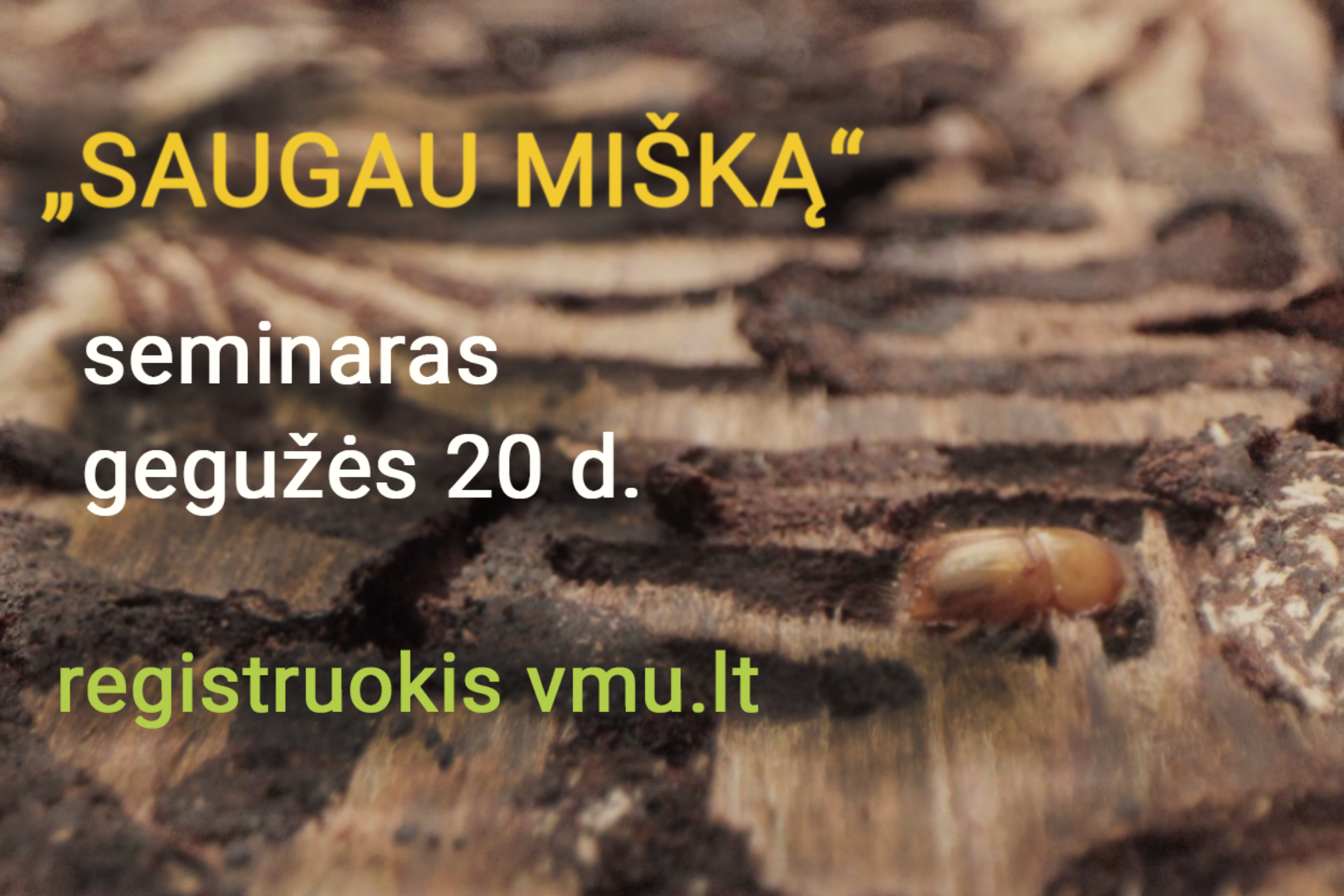 Naujienos iliustracija