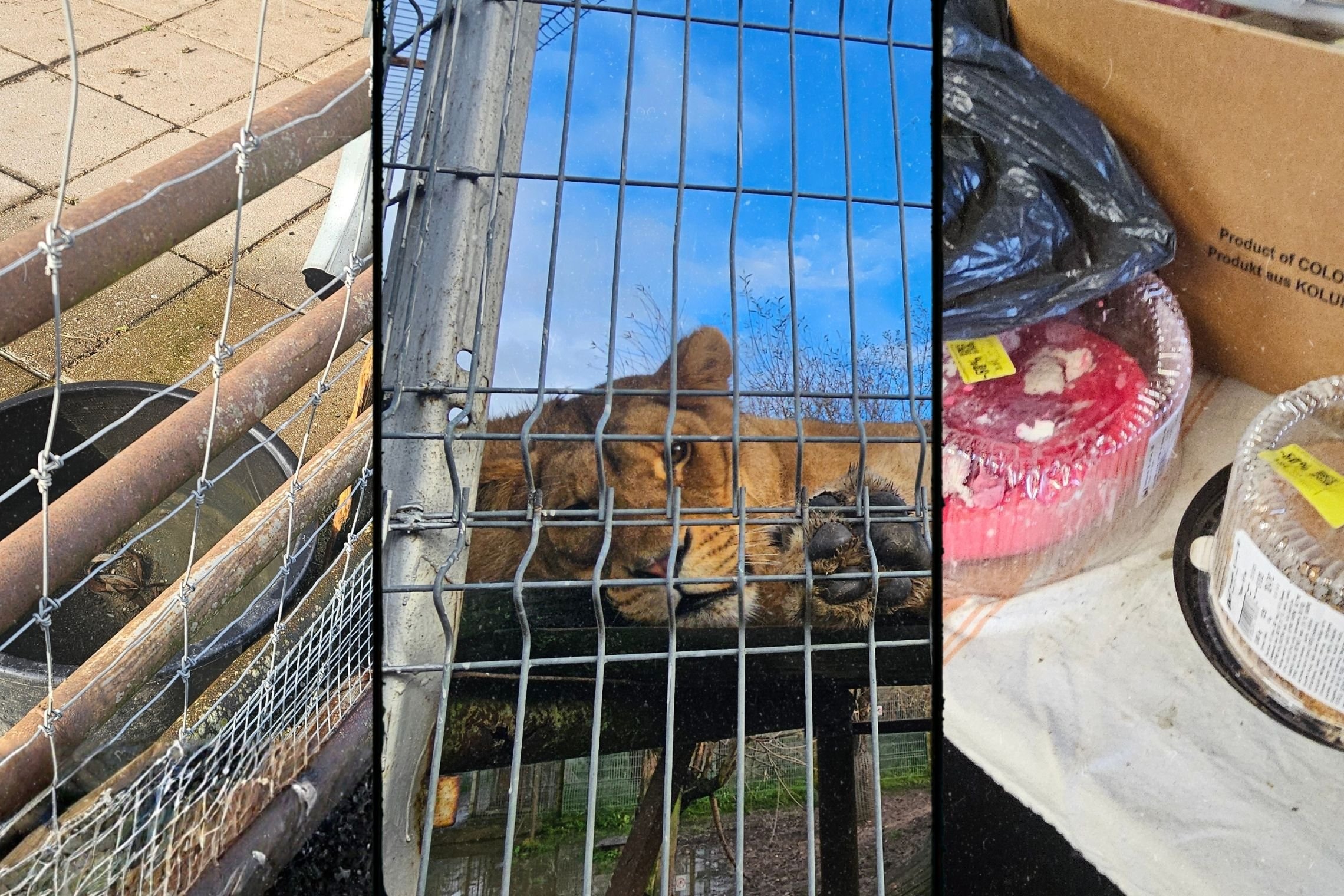 Klaipėdos zoologijos sode aplinkosaugininkų užfiksuoti kadrai