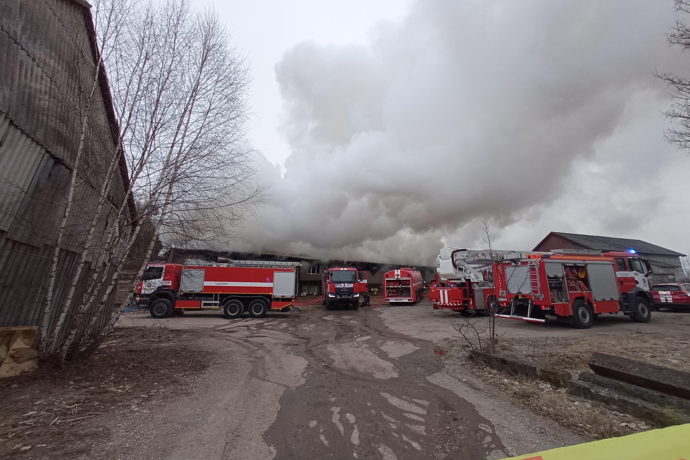 Gaisras medžio apdirbimo įmonėje