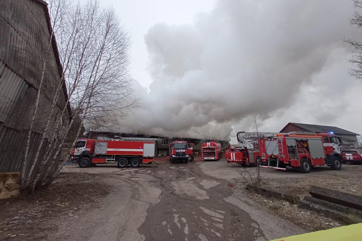 Gaisras medžio apdirbimo įmonėje