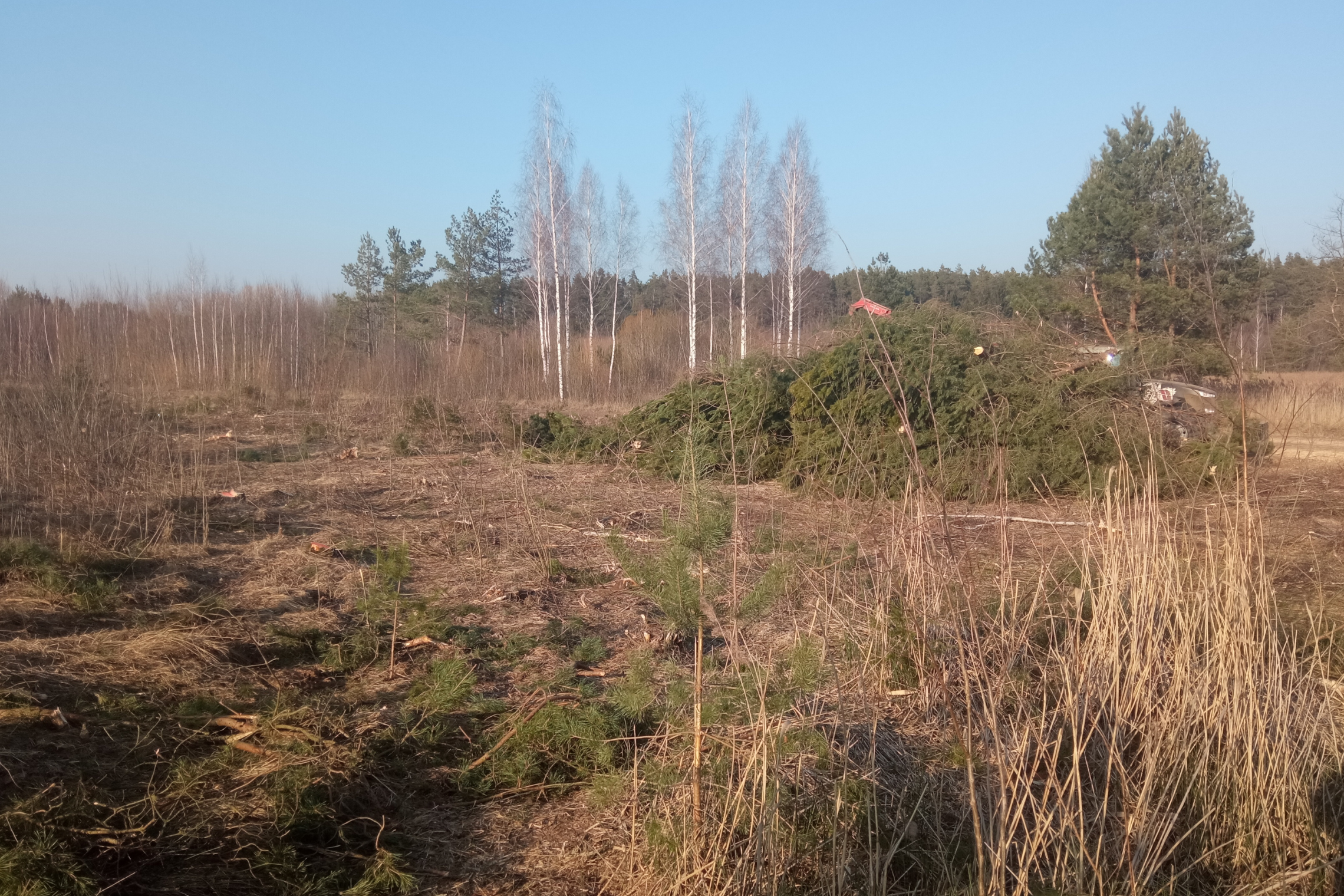 Iliustracija