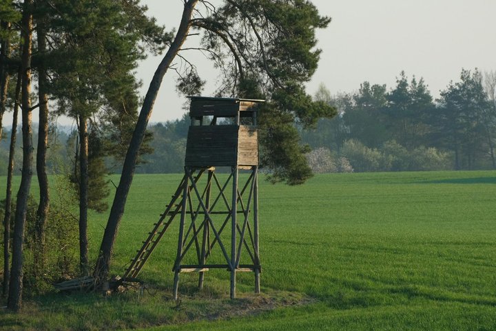 Medžioklės bokštelis (asociatyvi nuotrauka)