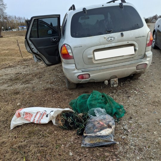 Iliustracija