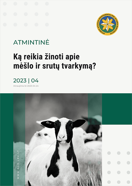 Atmintinės viršelis