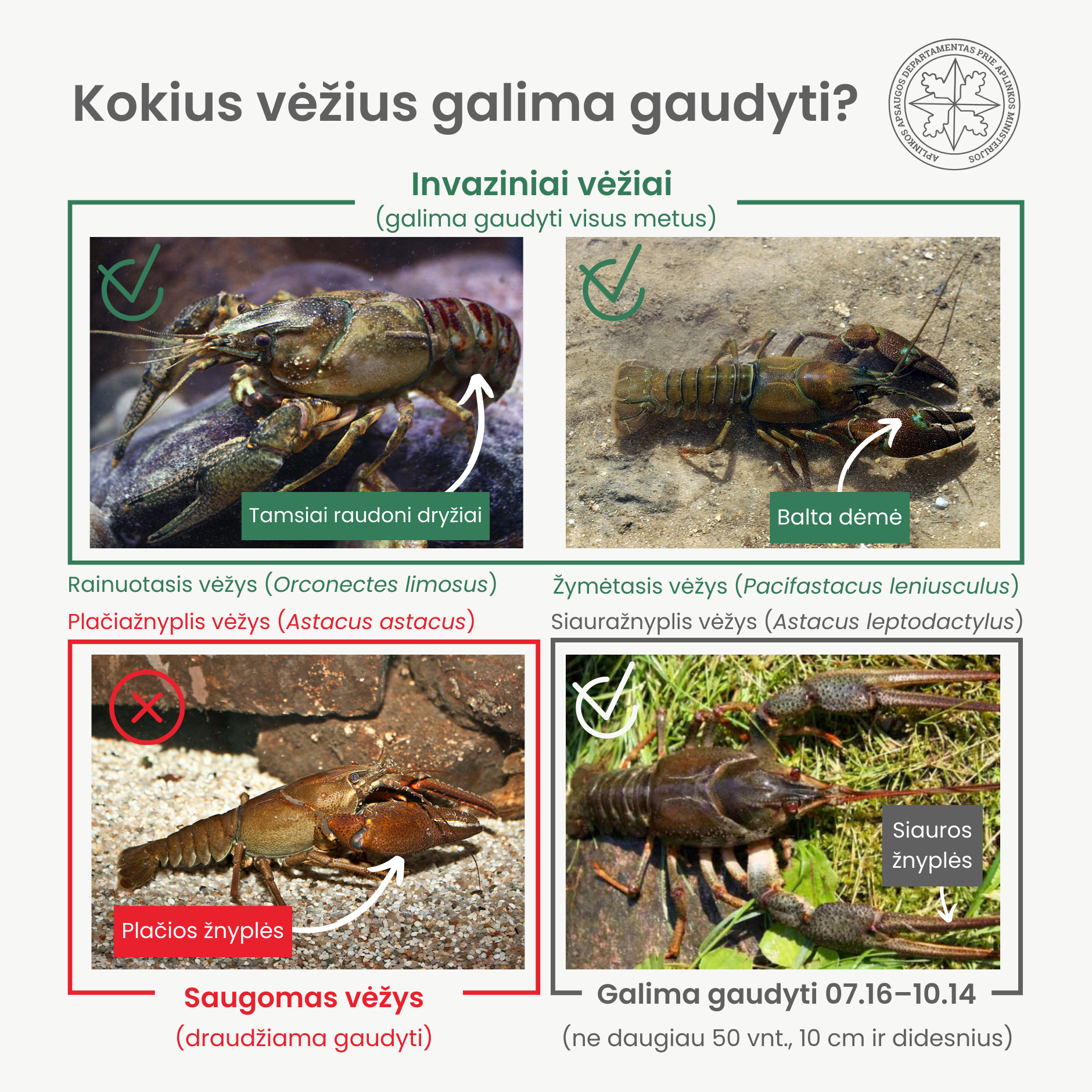 Facebook vėžiai.png