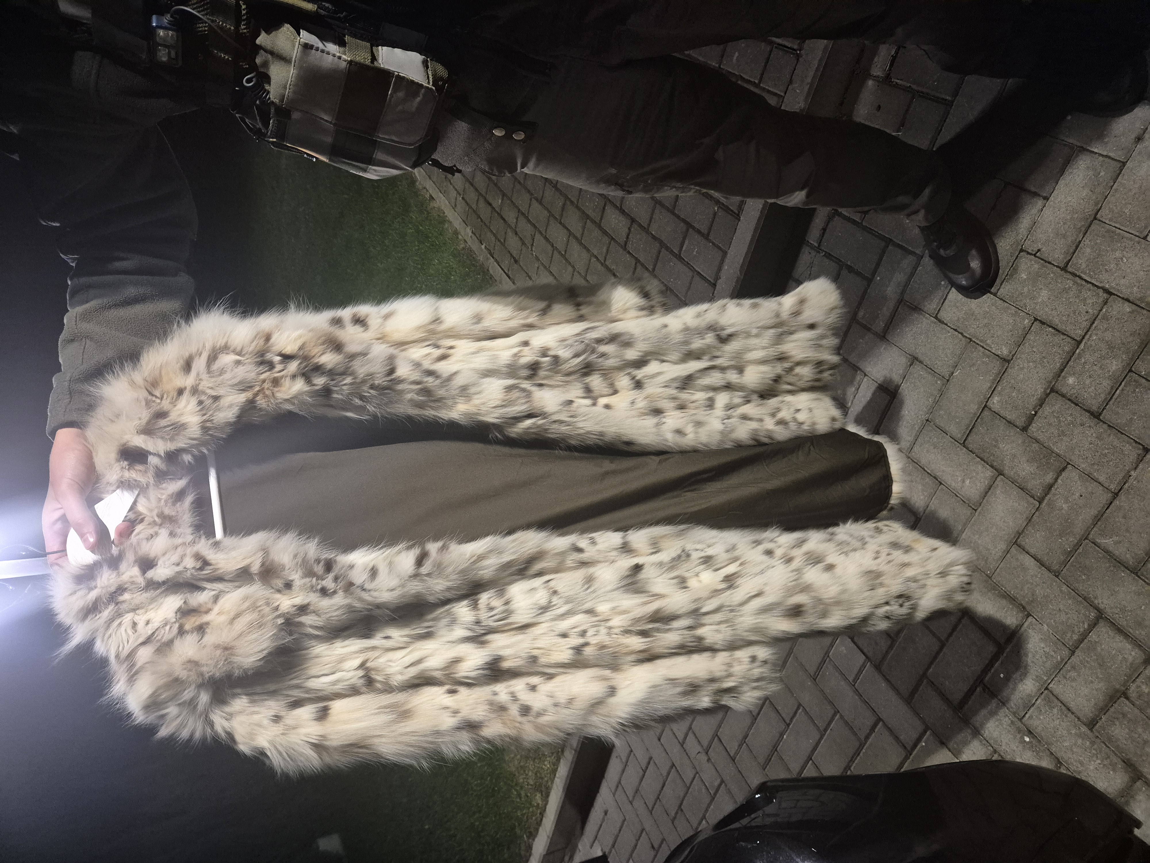 Kailiniai iš paprastosios lūšies (Lynx lynx) kailio