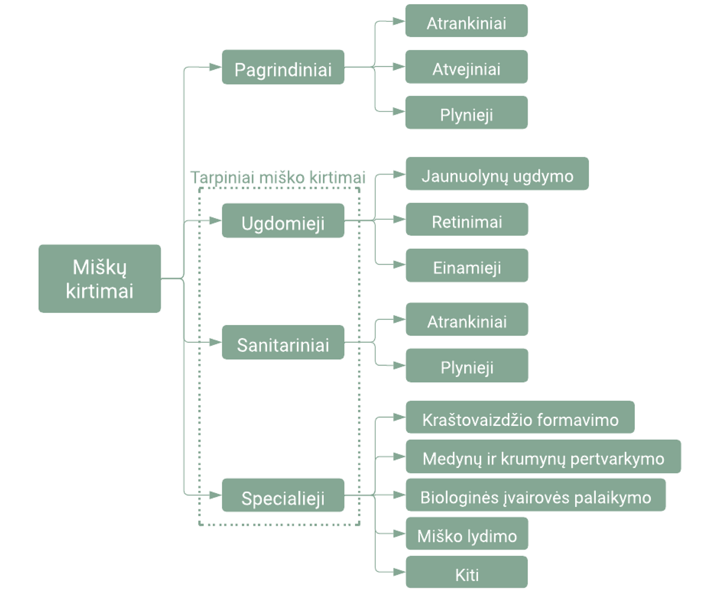 Miškų kirtimų klasifikacijos schema