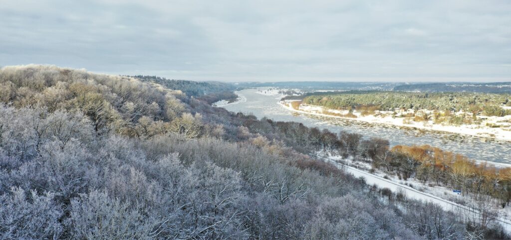 panorama.jpg