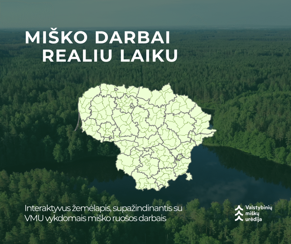 žemėlapis.png