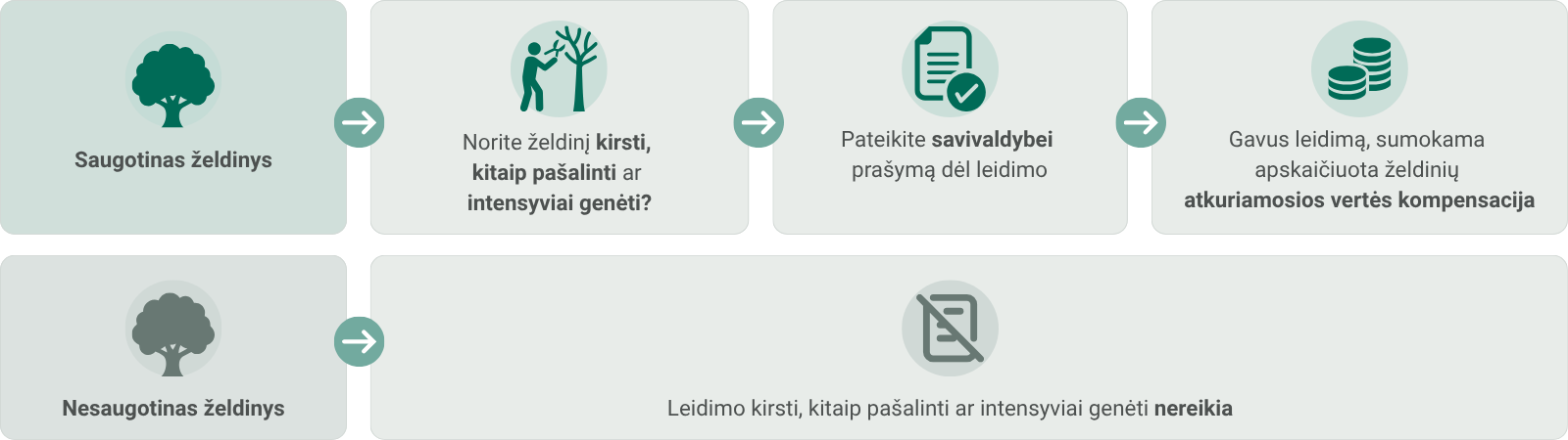 Leidimai (schema)