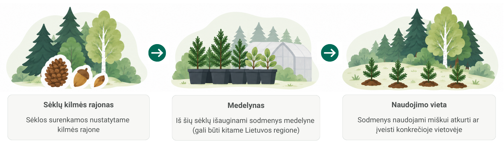Iliustracija
