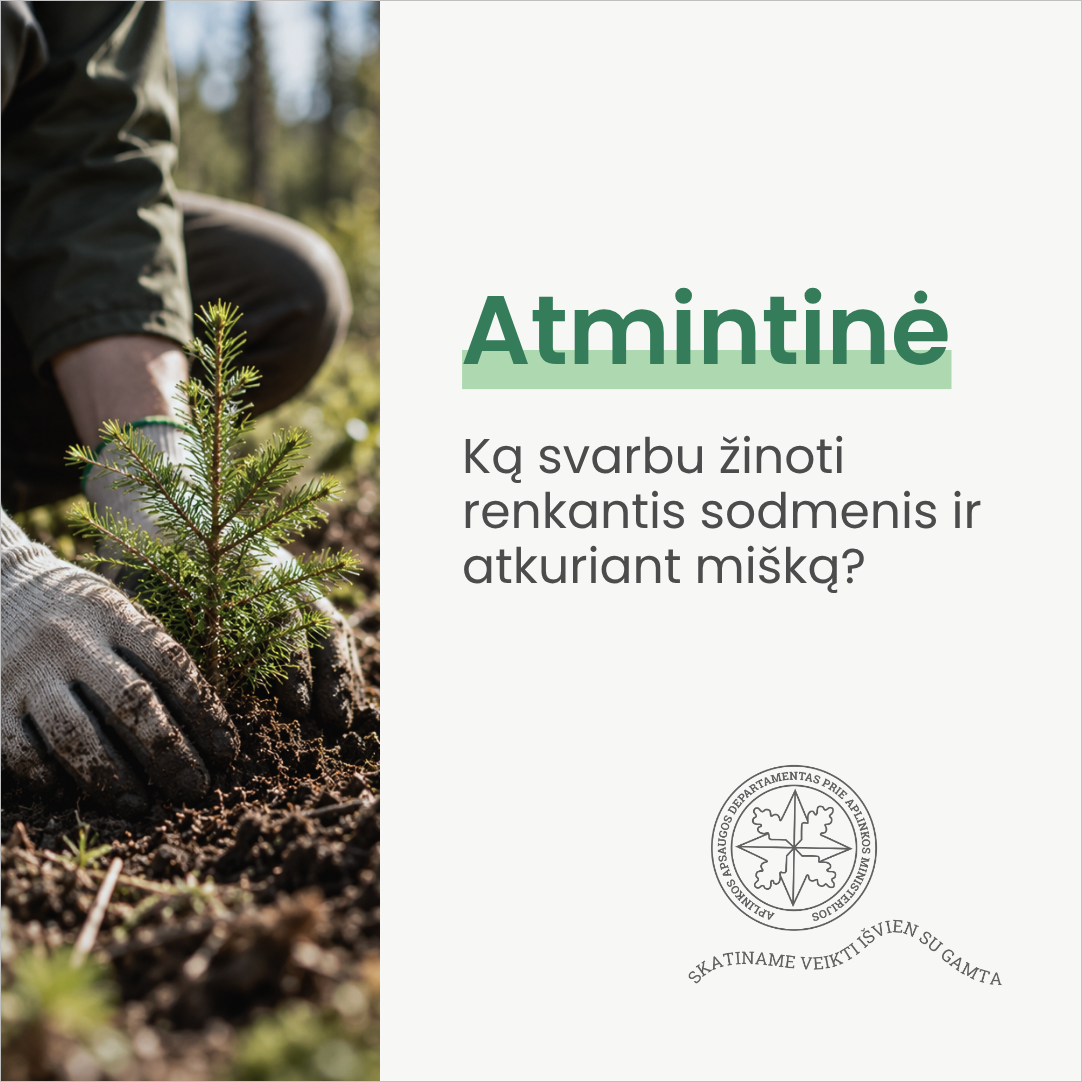 Atmintinės iliustracija